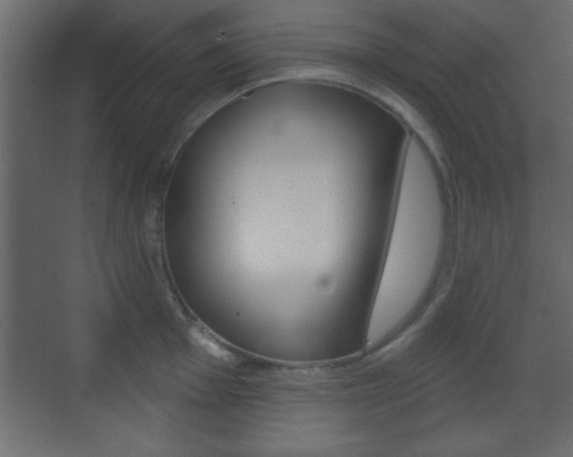 X0000070201001200605261031