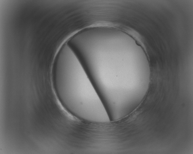 X0000070201003200605261031