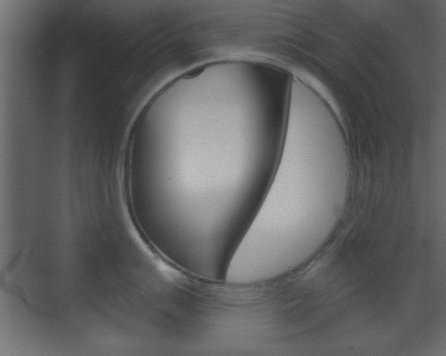 X0000070201007200605261031