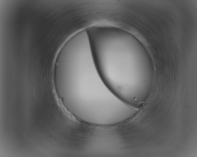 X0000070201008200605261031