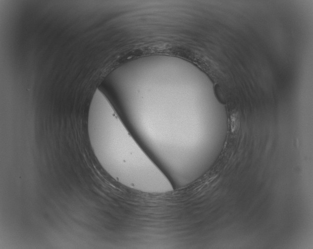 X0000070201011200605261030