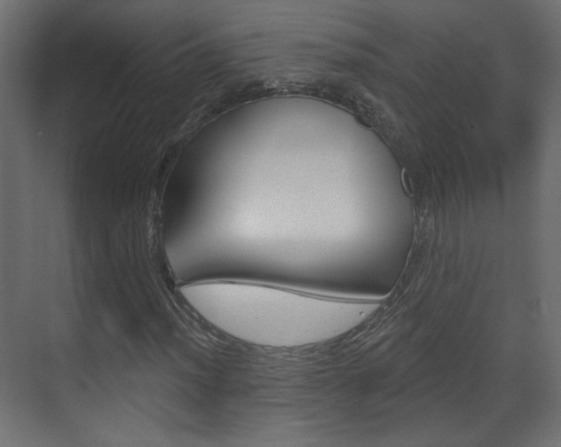 X0000070201012200605261030