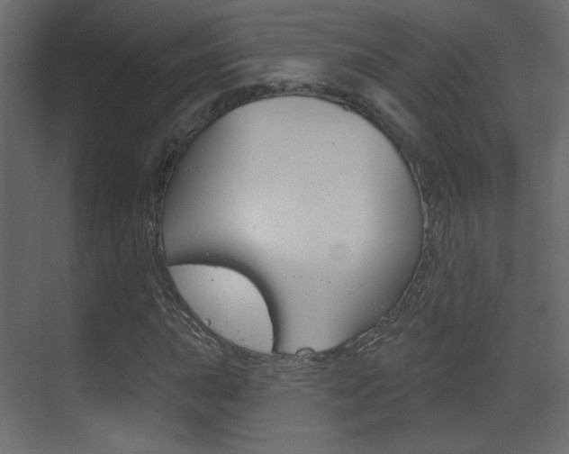 X0000070201015200605261030