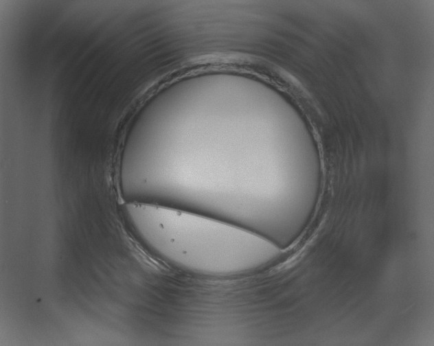 X0000070201017200605261030