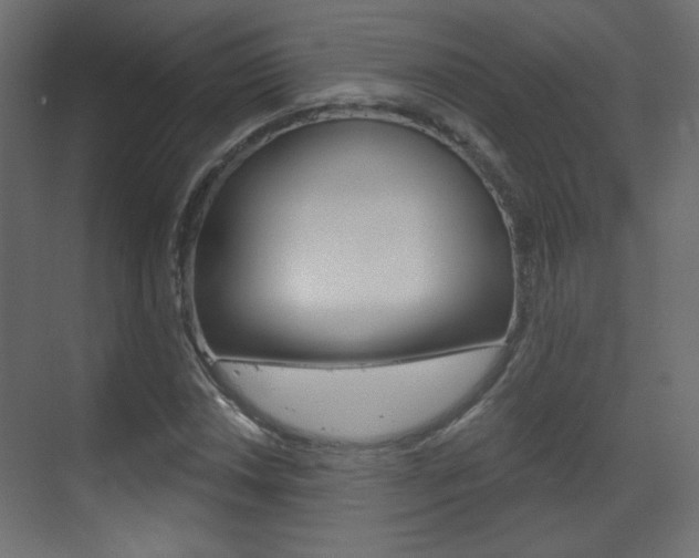 X0000070201018200605261030