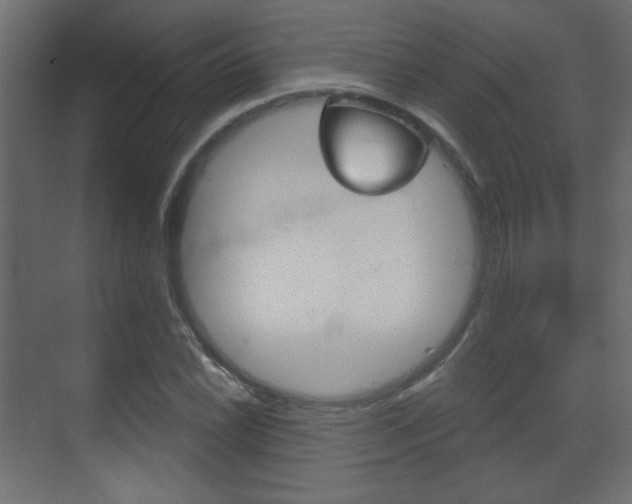 X0000070201022200605261030