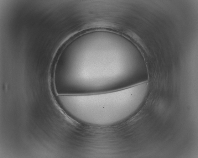 X0000070201024200605261030