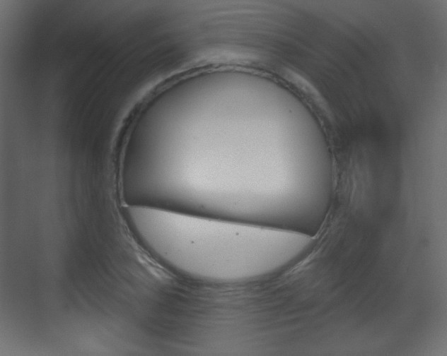 X0000070201027200605261030