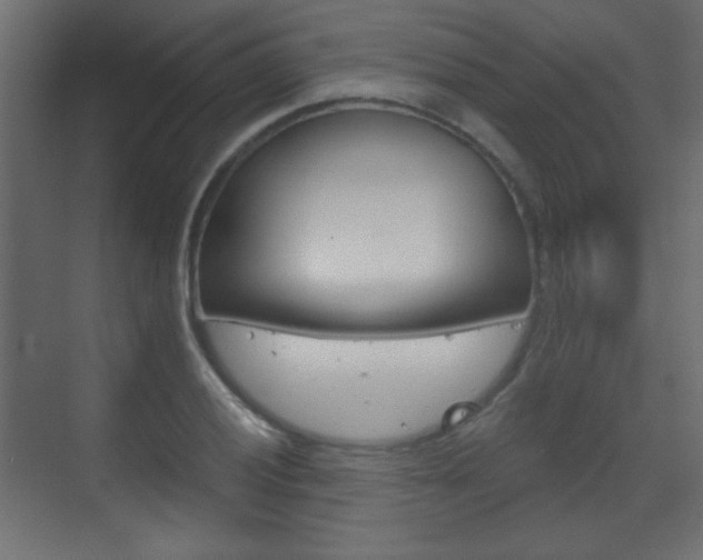 X0000070201028200605261030