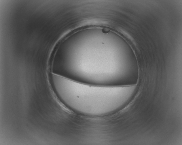 X0000070201029200605261030