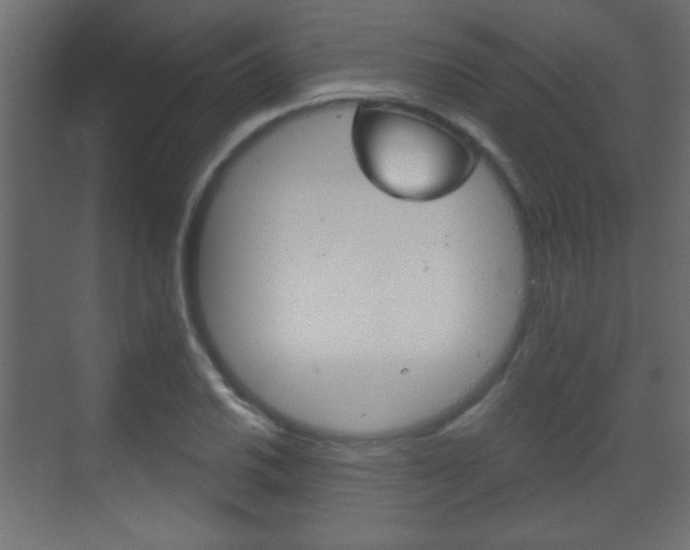 X0000070201030200605261031