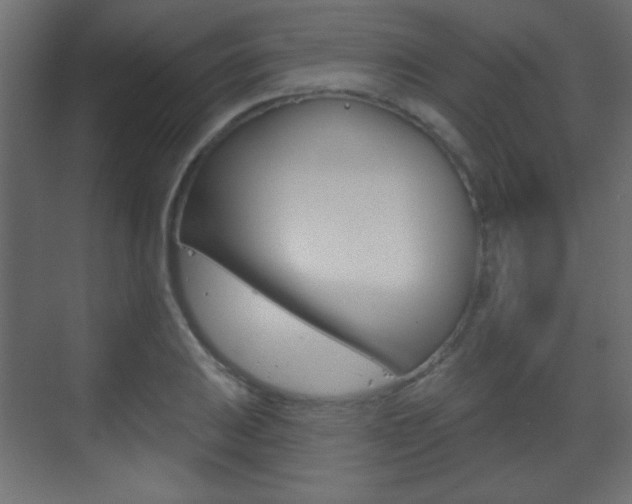 X0000070201031200605261031