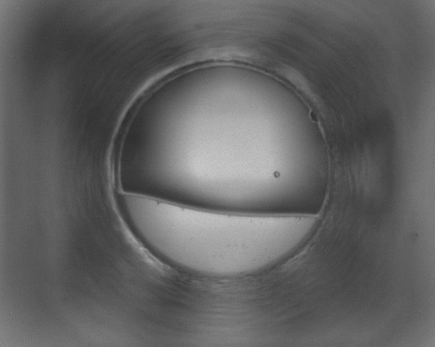 X0000070201032200605261031