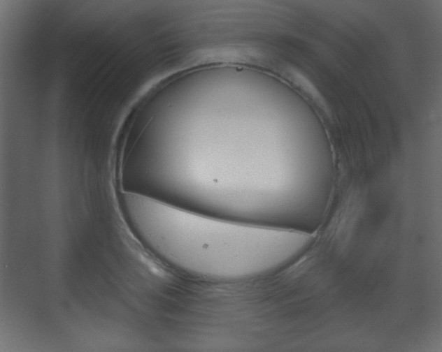 X0000070201035200605261031