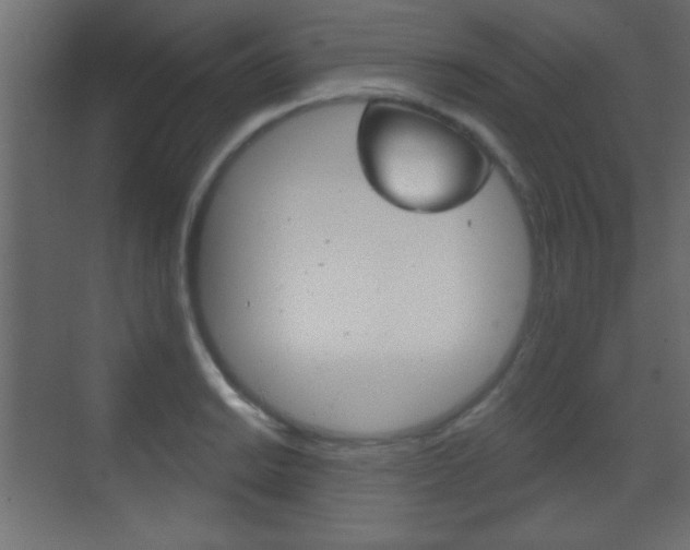 X0000070201038200605261031