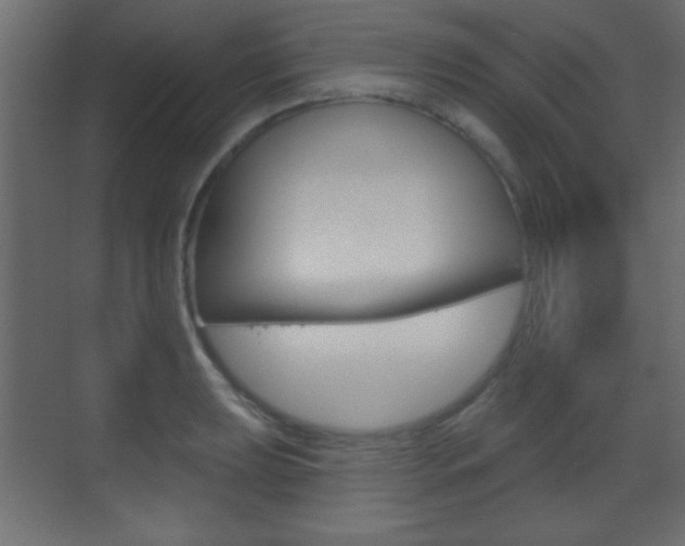 X0000070201039200605261031