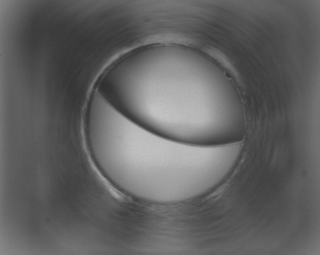 X0000070201040200605261031