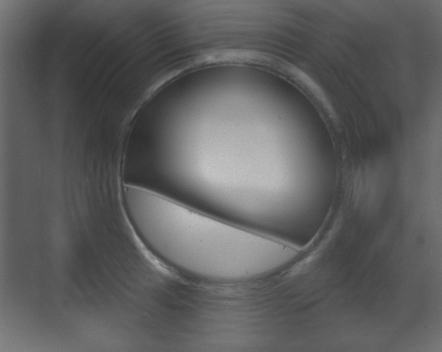 X0000070201041200605261031