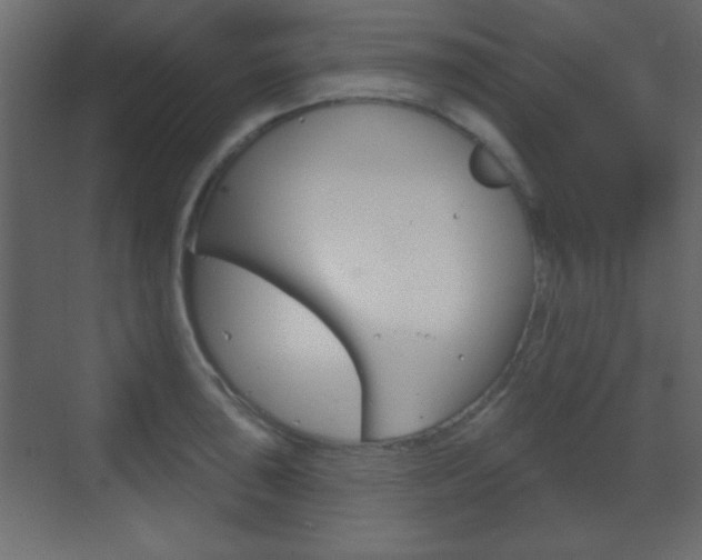 X0000070201043200605261031