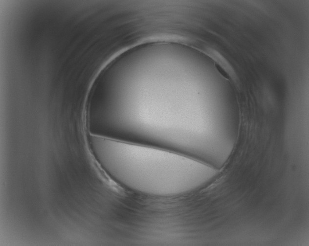 X0000070201044200605261031