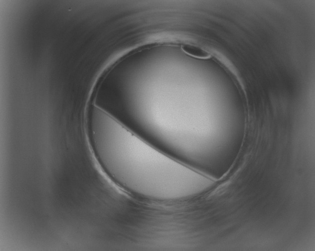 X0000070201045200605261031