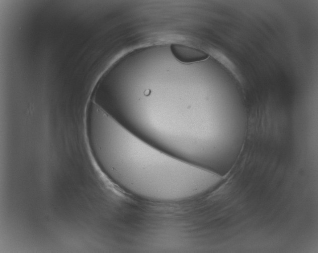 X0000070201047200605261031