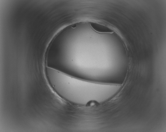 X0000070201048200605261031
