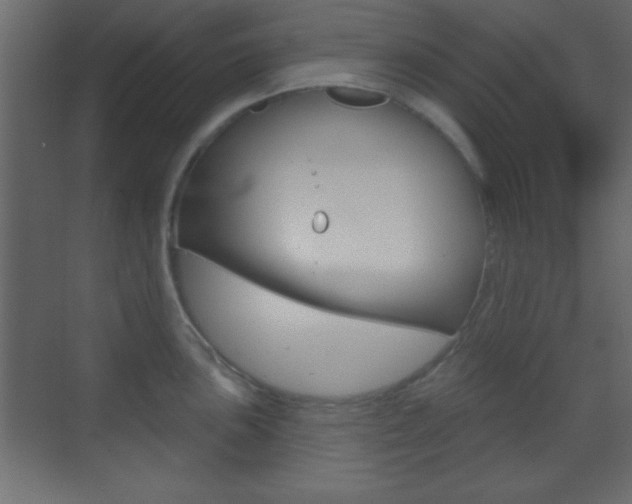 X0000070201051200605261031