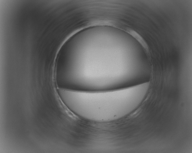 X0000070201052200605261031