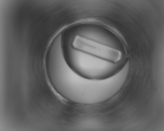 X0000070201054200605261031