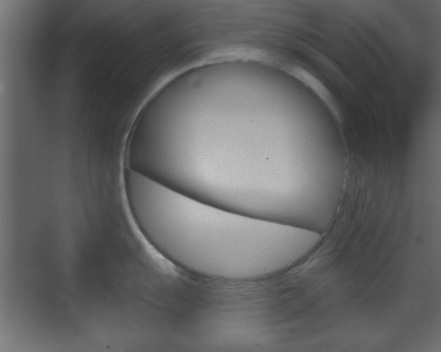 X0000070201055200605261031