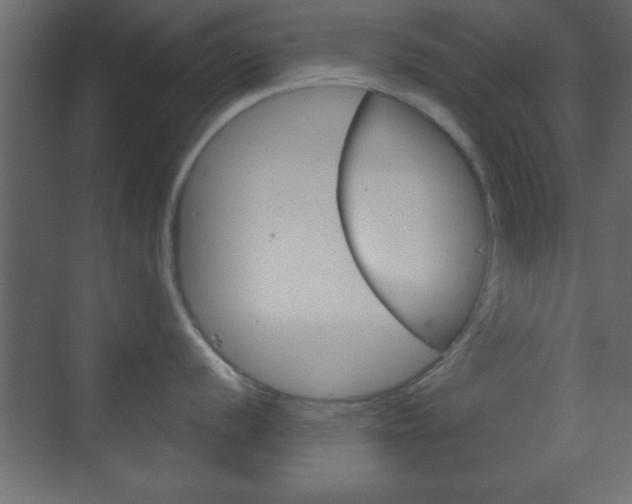 X0000070201056200605261031