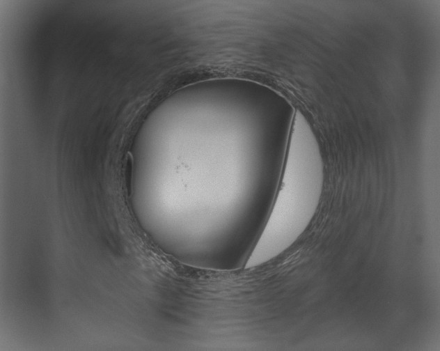 X0000070201057200605261030