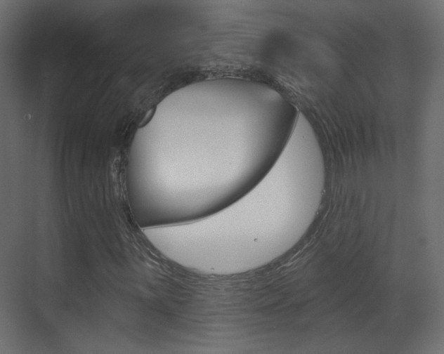 X0000070201059200605261030