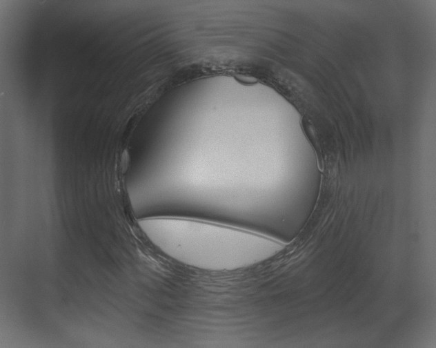 X0000070201060200605261030