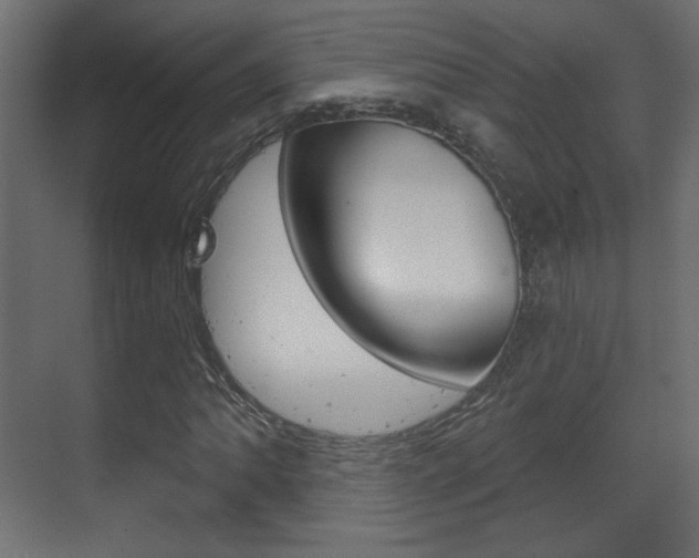 X0000070201062200605261030
