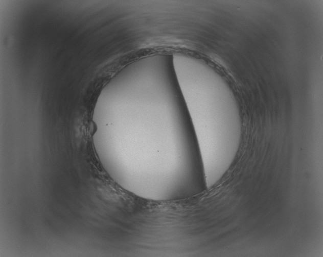 X0000070201063200605261030