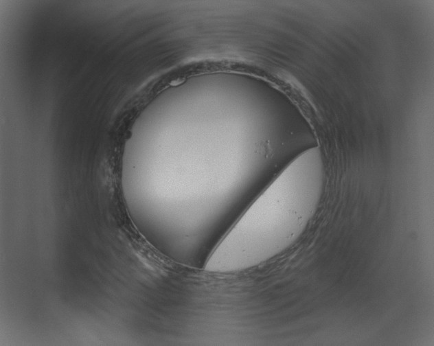 X0000070201064200605261030