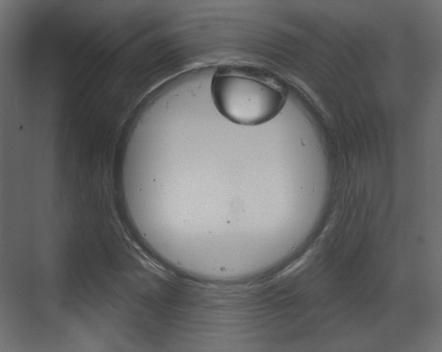 X0000070201065200605261030