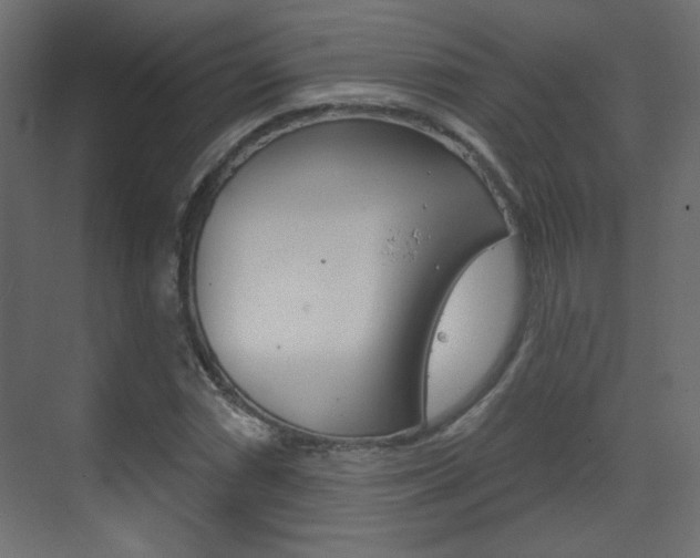 X0000070201066200605261030