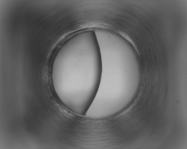 X0000070201067200605261030