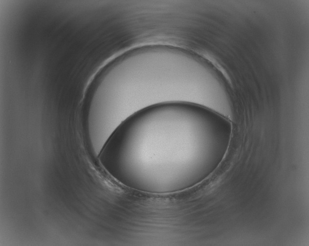 X0000070201069200605261030