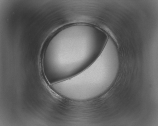 X0000070201072200605261030