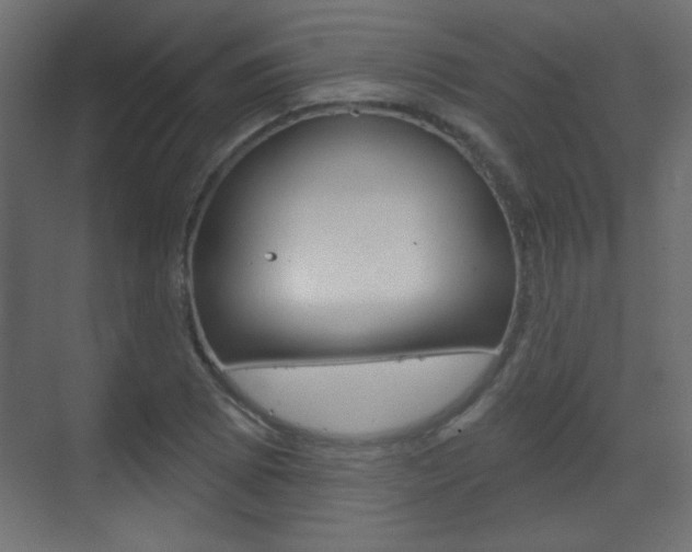X0000070201073200605261030