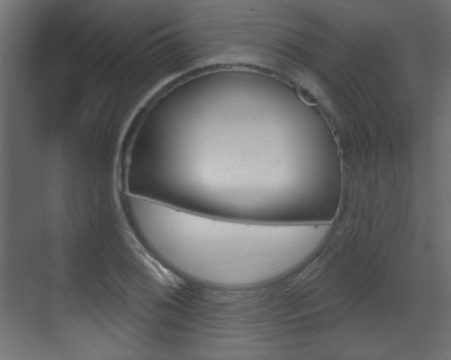 X0000070201076200605261030