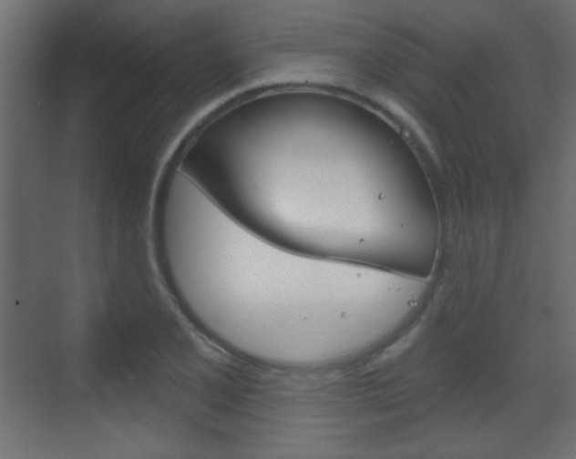 X0000070201077200605261030