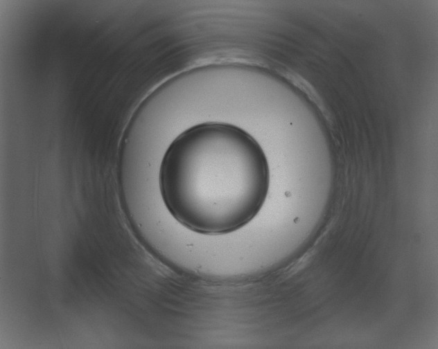 X0000070201081200605261030
