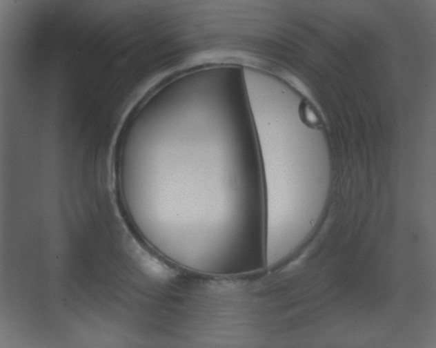 X0000070201082200605261030