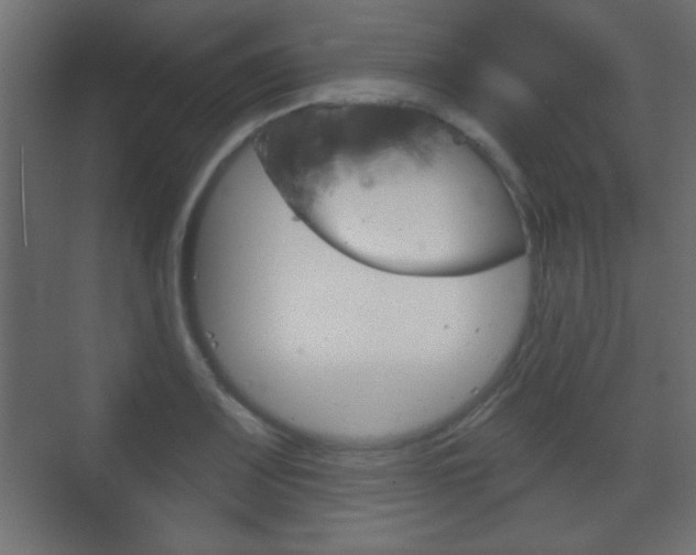X0000070201083200605261030