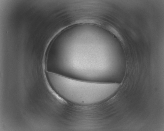 X0000070201084200605261030